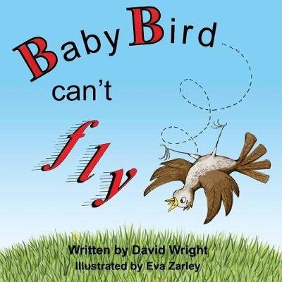 Book cover for Baby Bird Can't Fly