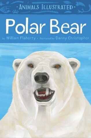 Cover of Animals Illustrated: Polar Bear