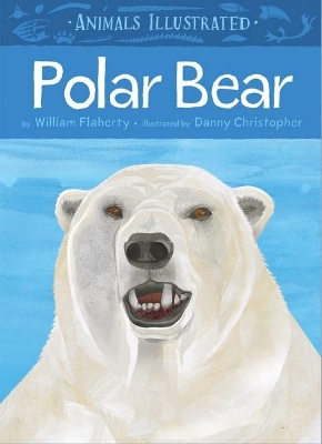 Cover of Animals Illustrated: Polar Bear