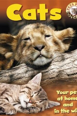 Cover of Pets Plus: Cats