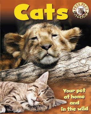 Cover of Pets Plus: Cats