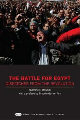 Cover of The Battle for Egypt