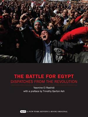 Book cover for The Battle for Egypt