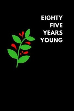 Cover of Eighty Five Years Young