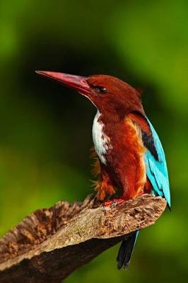 Book cover for White-throated Kingfisher in Sri Lanka Bird Journal