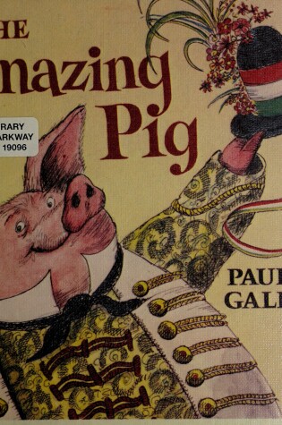 Cover of The Amazing Pig
