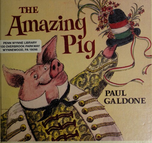 Book cover for The Amazing Pig