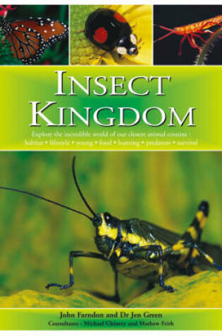 Cover of Insect Kingdom