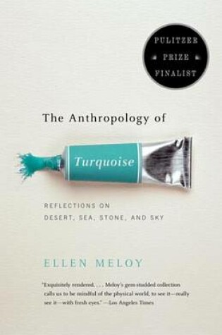 Cover of The Anthropology of Turquoise