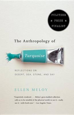 Book cover for The Anthropology of Turquoise