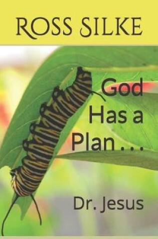 Cover of God Has a Plan . . .