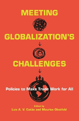 Book cover for Meeting Globalization's Challenges
