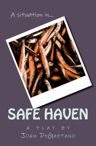 Cover of A Situation in... Safe Haven