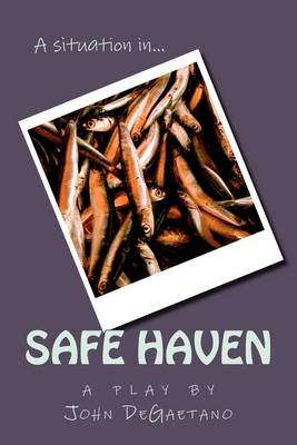 Book cover for A Situation in... Safe Haven