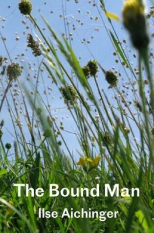 Cover of The Bound Man, and Other Stories