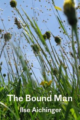 Book cover for The Bound Man, and Other Stories