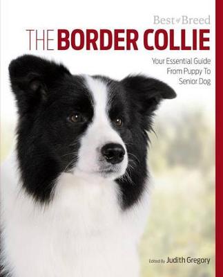 Book cover for Border Collie Best of Breed