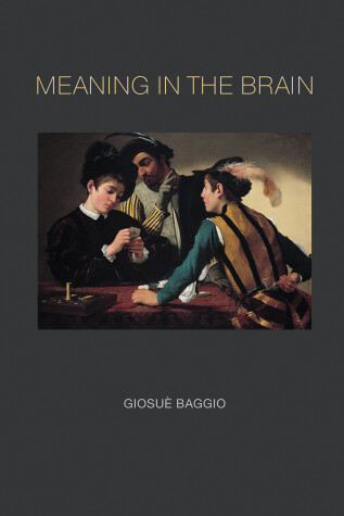 Book cover for Meaning in the Brain