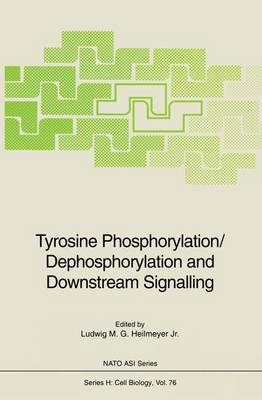 Book cover for Tyrosine Phosphorylation/Dephosphorylation and Downstream Signalling