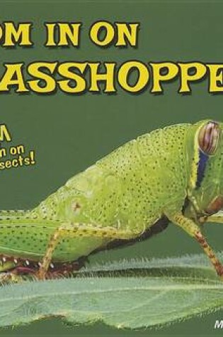 Cover of Zoom in on Grasshoppers