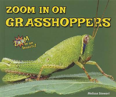 Book cover for Zoom in on Grasshoppers
