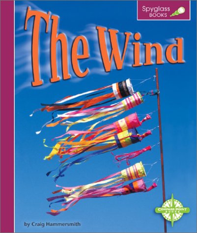 Book cover for The Wind