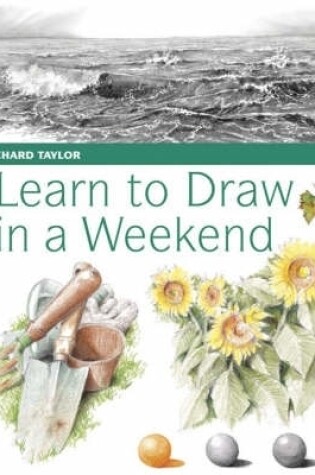 Cover of Learn to Draw in a Weekend