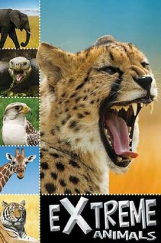 Cover of Extreme Animals