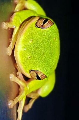 Cover of American Green Tree Frog Journal