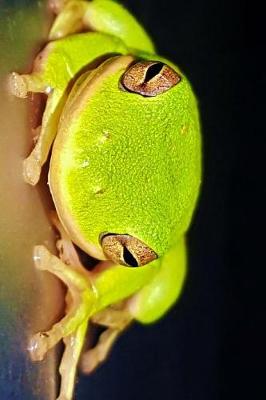 Book cover for American Green Tree Frog Journal