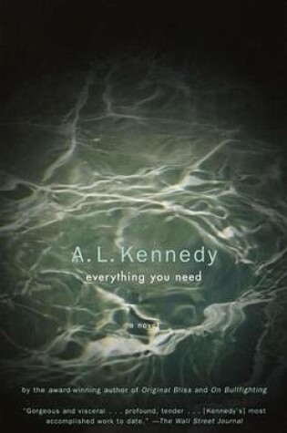 Cover of Everything You Need: A Novel