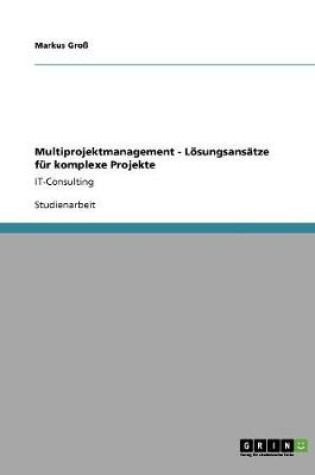 Cover of Multiprojektmanagement - Loesungsansatze fur komplexe Projekte