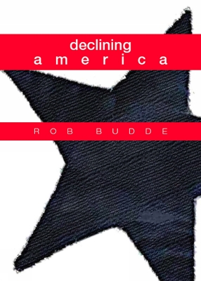 Book cover for declining america