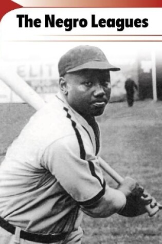 Cover of The Negro Leagues