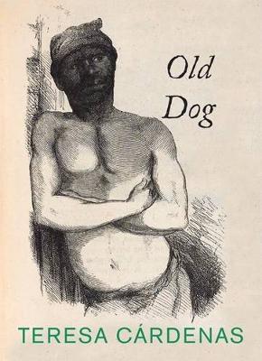 Book cover for Old Dog