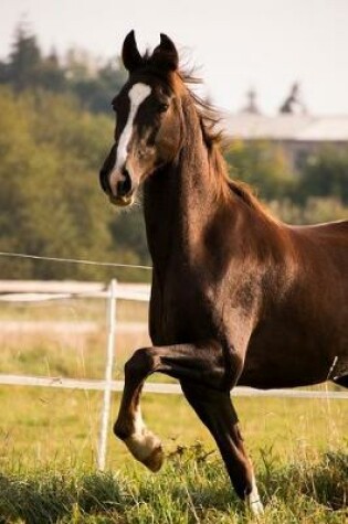 Cover of American Saddlebred Horse Journal