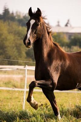 Book cover for American Saddlebred Horse Journal