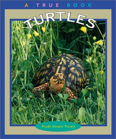 Book cover for Turtles