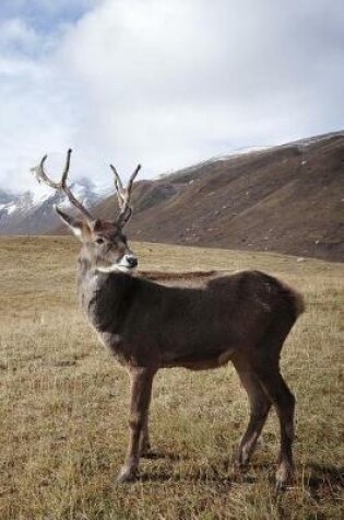 Cover of Cool Caribou in the Wild Animal Journal