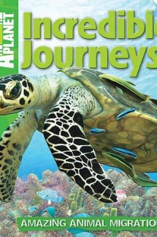 Cover of Incredible Journeys