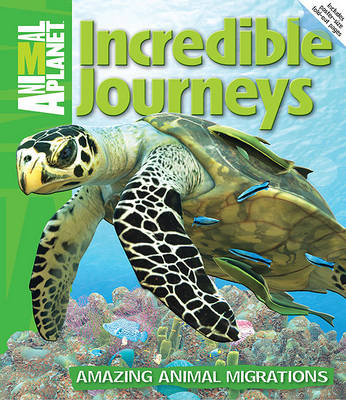 Book cover for Incredible Journeys