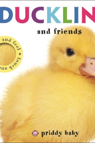 Cover of Duckling and Friends