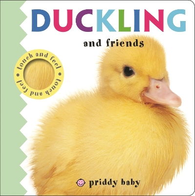 Cover of Duckling and Friends