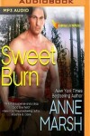 Book cover for Sweet Burn