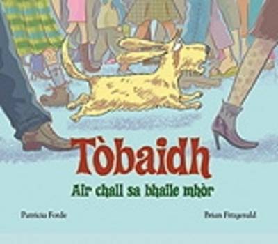 Book cover for Tobaidh Air Chall Sa Bhaile Mhor