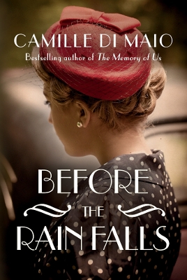 Book cover for Before the Rain Falls