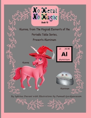 Book cover for No Metal No Magic Book 13