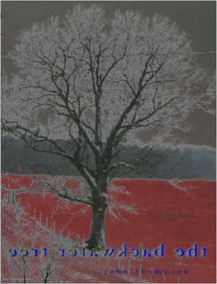 Book cover for The Backwater Tree