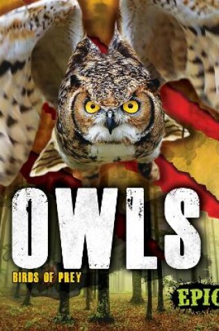 Cover of Owls