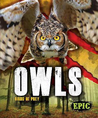 Book cover for Owls